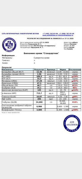 Прикрепленное изображение: Изображение 2.jpg